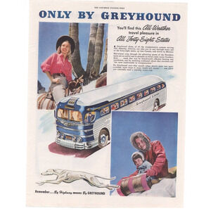 Vintage Original Greyhound Bus / Palmolive Magazine Advertisement 1950s Color